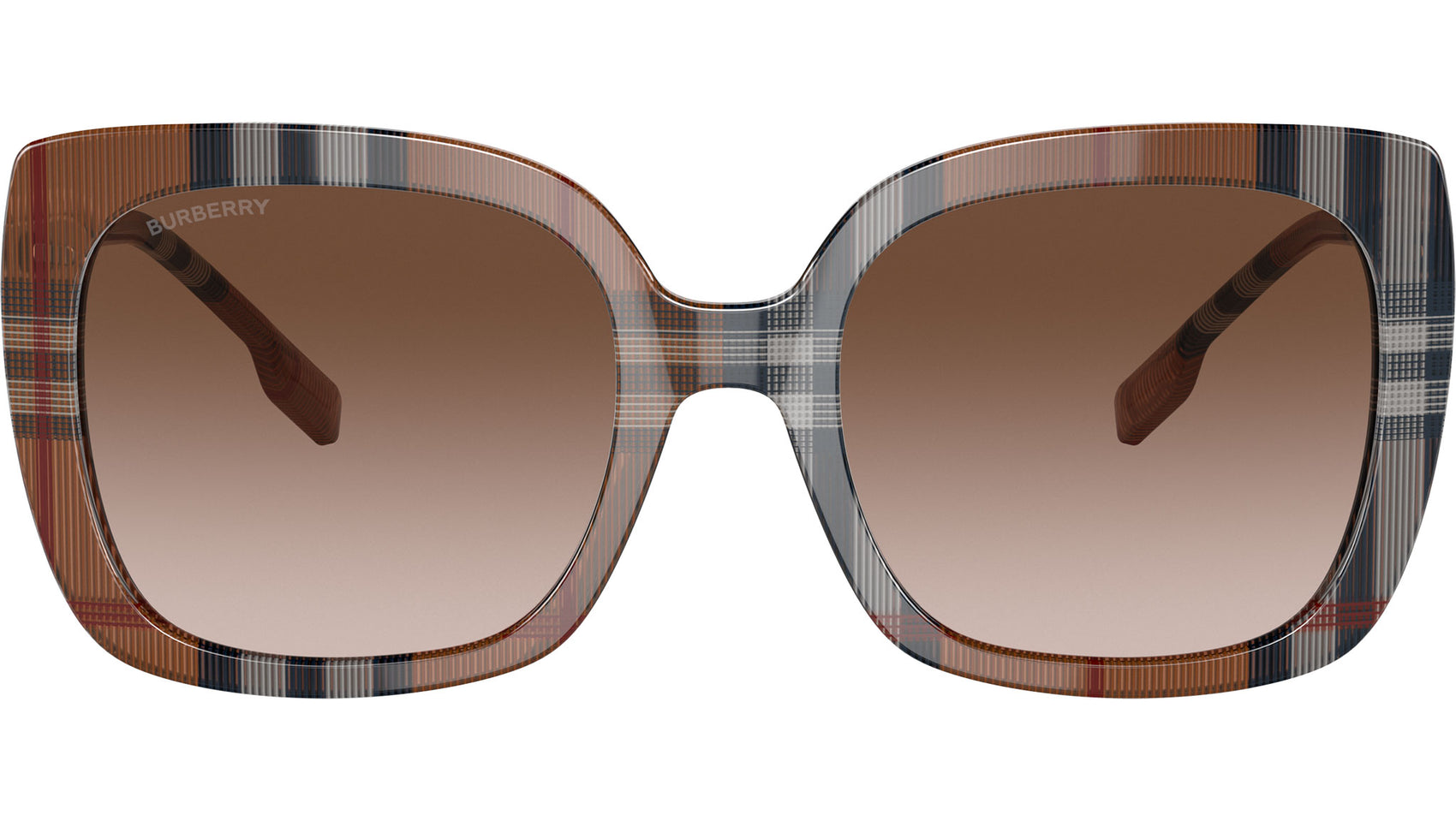 Caroll BE4323 400513 Brown