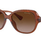 RA5316U 614913 Dark Havana