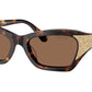 SK6029 100273