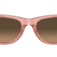 Mega Wayfarer II RB0832S 684843
