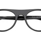 RB5441 Optics 2000