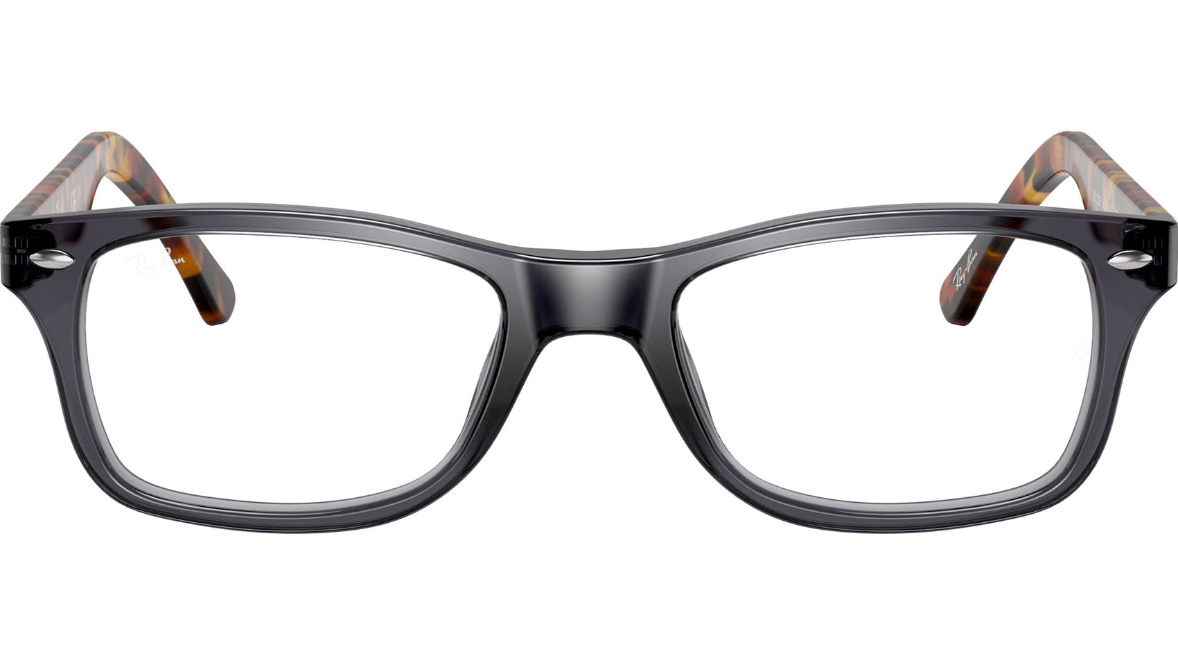RB5228 Optics 5629