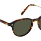 Kash Sun Tortoise Gold