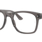 RB7228 Optics 8257