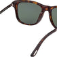 Sinatra FT1104 52N Havana Green