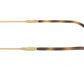 RB3749 927358 Tortoise