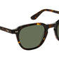 Billik Sun Tortoise