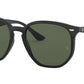 RB4306 601/71 black