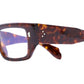 1413 Optical 02