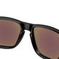 Holbrook S OO9509 04