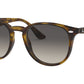 RB4259 710/11 light havana