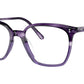Rasey OV5488U purple