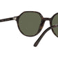 Thalia RB2195 902/31 havana