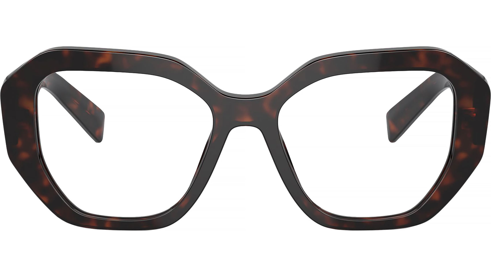 PR A07V 16N1O1 Tortoise