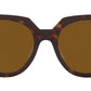 PR 14WS tortoise