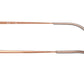 Aviator Optics RB6489 3094