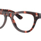 RB5510 Optics 8118