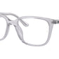 RB7248D Optics 8411