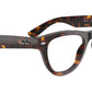 RB5510 Optics 2012