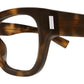 SL 698 003 Shiny Tortoise