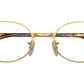 RB6481V Optics 2500