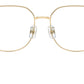 SK1009D 4013
