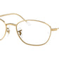 RB3749V Optics 2500
