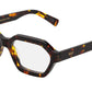 Pooch Optical Havana
