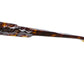 K39 TS RH Rhizome