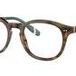 PH2267 5017 Brown Tortoise