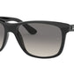 RB4181 RB4181 601/71 black