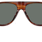 Paul Newman Sun OV5581SU 1721W5