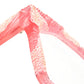 K30 BSH FW Blush
