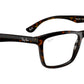 RB5279 Optics 2012