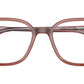 RB5406 Optics 8171