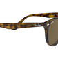 RB4259 710/73 light havana