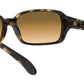 RB4068 tortoise