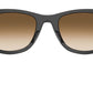 Wayfarer Street Neat RB2240 955/51