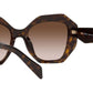 PR 16WS tortoise
