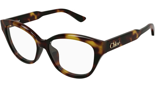 CH0381OL