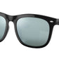 RB4260D 601/30 Black