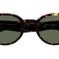 Ezra Sun Dark Havana