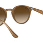 RB2180 turtledove