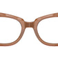 State Street Optics RB5486 8179