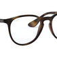 Erika Optics RB7046 tortoise