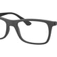 RB7062 Optics 2077