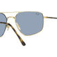 RB3666 001/62 arista