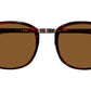 Brude Sun Burnt Torotise Gold