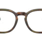 PH2267 5017 Brown Tortoise