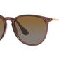 Erika RB4171 6593T5 transparent dark brown